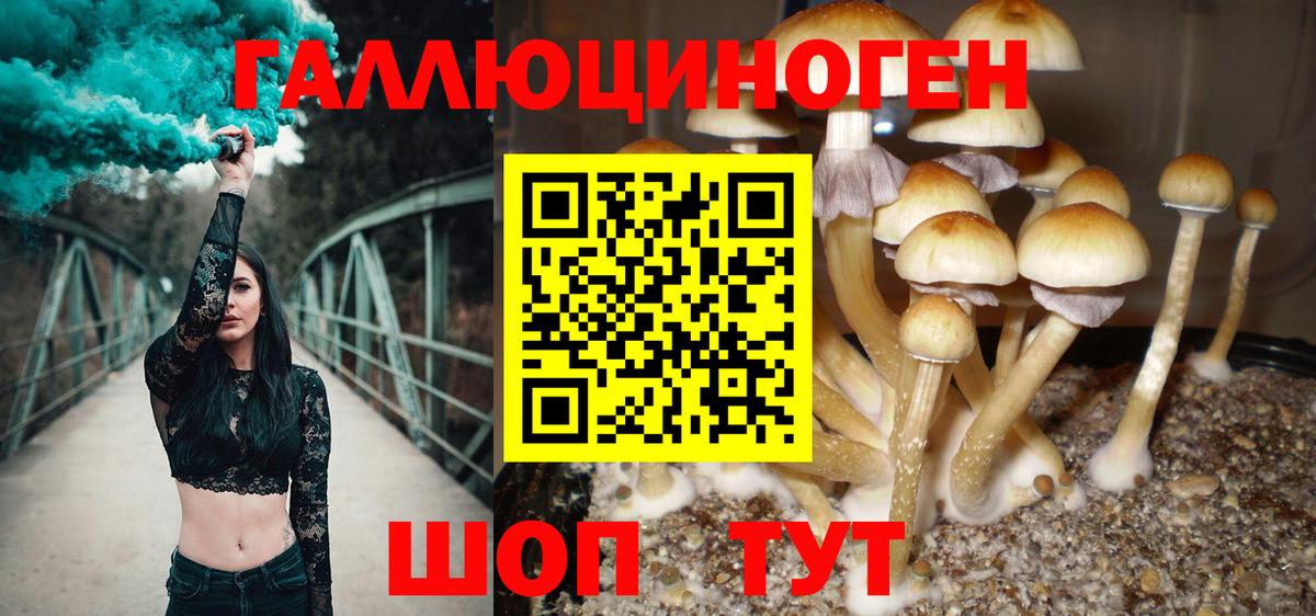 Карталы  Галлюциногенные грибы Psilocybe  Вход с VPN 