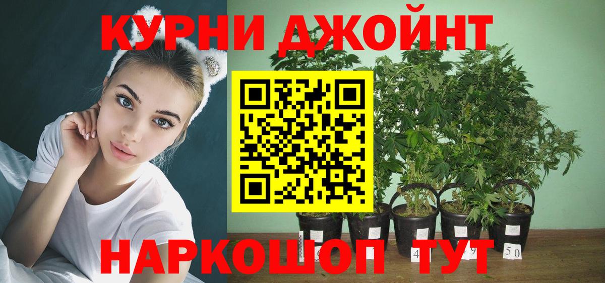 Бошки Шишки тримм  Канабис сатива  Карталы  Вход с VPN 